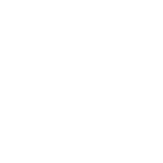 Icon secure